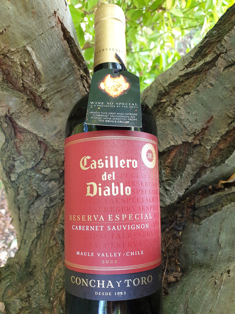Casillero del Diablo Reserva Especial Cabernet Sauvignon